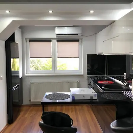 Apartament 2 Paunoiu *