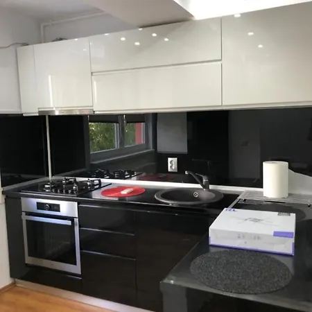 Appartamento Apartament 2 Paunoiu